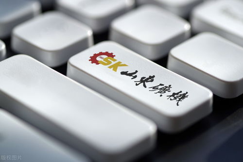 山東礦機(jī) 財(cái)報(bào)揭示股價低迷，互聯(lián)網(wǎng)游戲服務(wù)轉(zhuǎn)型挑戰(zhàn)重重